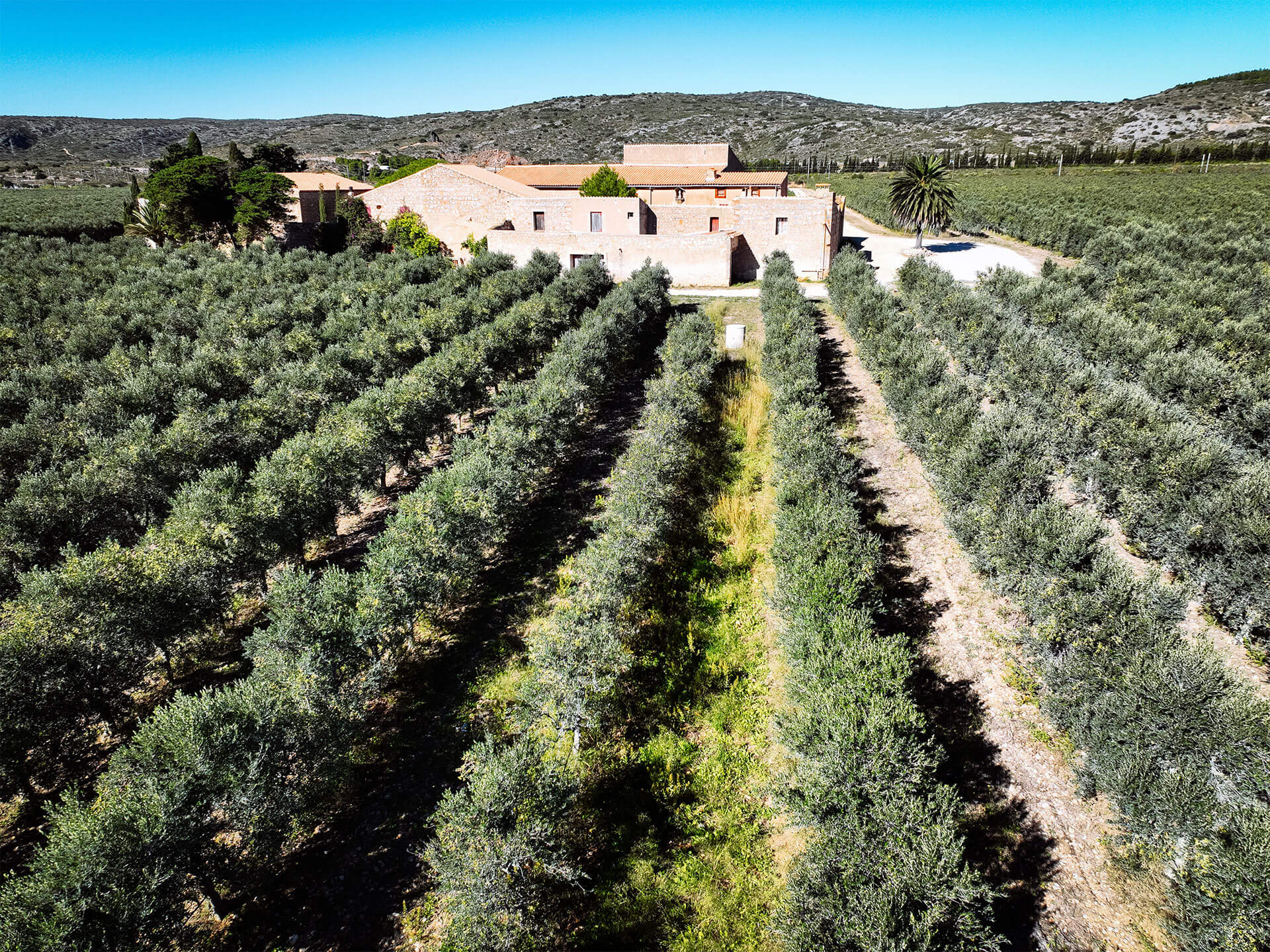 Oliveraie Mas Pechot - Huile d'olive Papillon